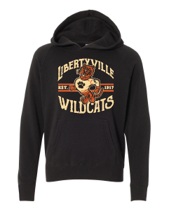 Retro Wildcats Raglan Hoodie (Youth)