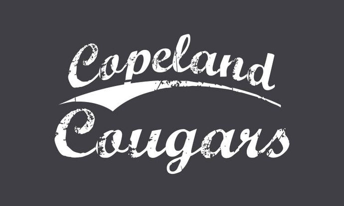 Elementary School Vintage Tee